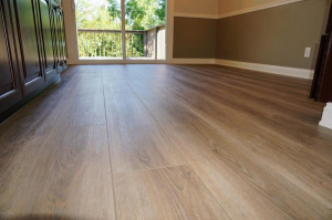 gallery/20190815184822673978000000-o_49512749913_o